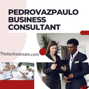 pedrovazpaulo business consultant