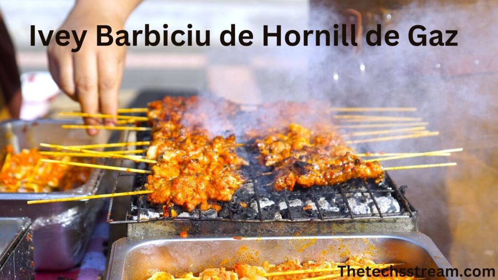 ivey barbiciu de hornill de gaz