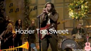 hozier too sweet